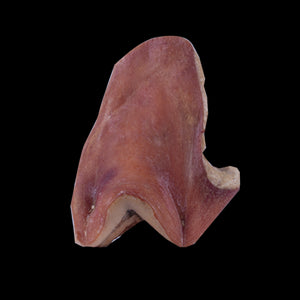 Casalingo Guanciale (BND) Approx. 600g to 1.5kg