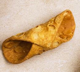 Pennisi Cannoli Shells Grande (13cm) 48 pcs