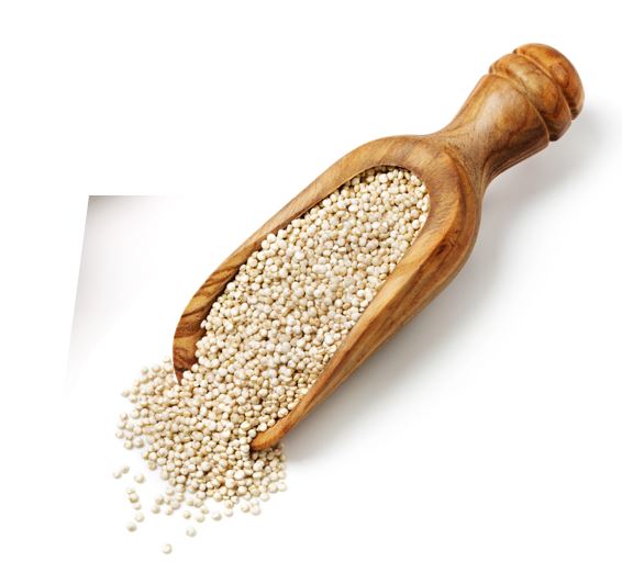 Quinoa White 1kg C12