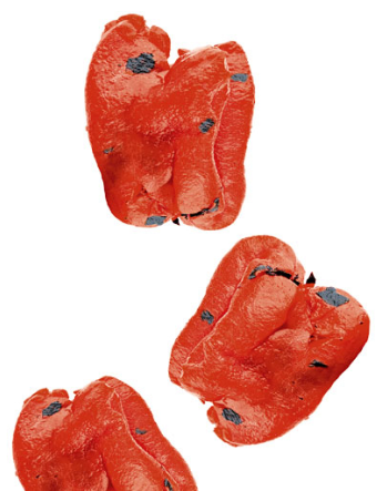 Ristoris Grilled Red Peppers 1.5kg Bag C6